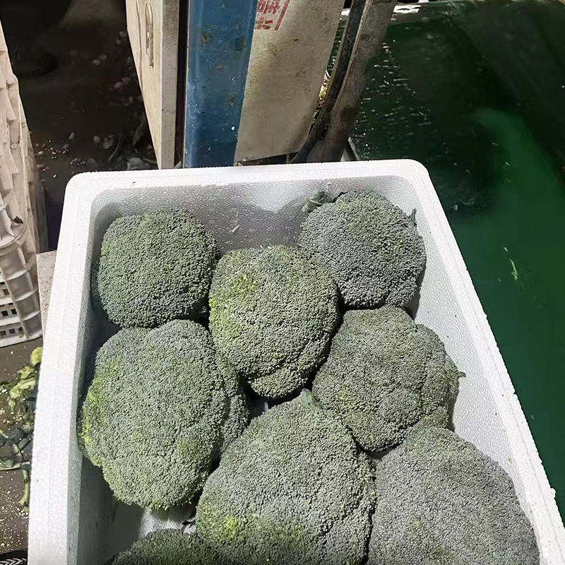 Брокколи оптом