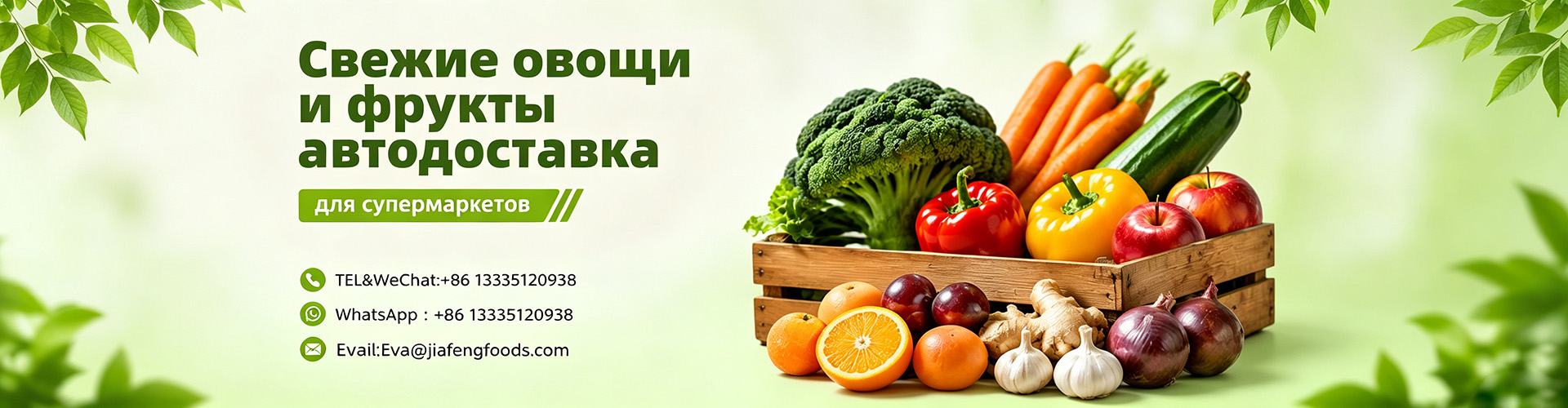 Контакты